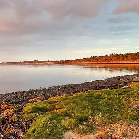 4 Star In Farso-by Traum Nyaraló Farsø